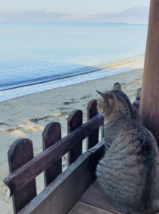 Niko's - Beautiful Sea View ! Apartment Peraia (Thessaloniki)